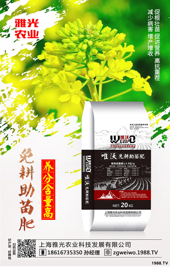 紫薯有哪些營養(yǎng)價值，紫薯與紅薯相比哪個更有營養(yǎng)？