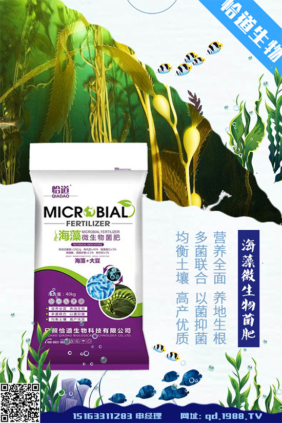 大豆空莢是什么原因造成的？大豆空莢預(yù)防措施！