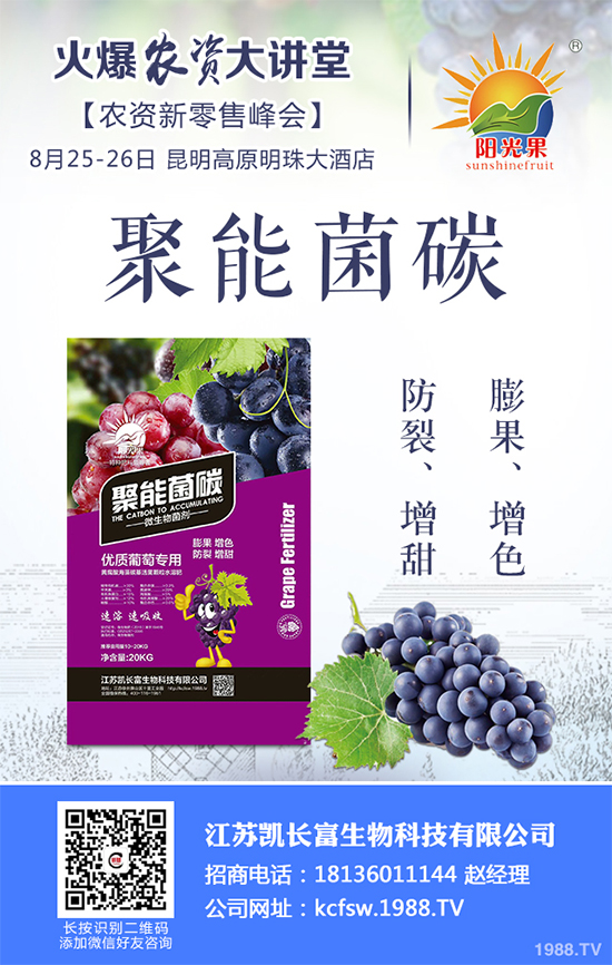 豌豆什么時候種植？該怎么種？豌豆種植時間及種植技術(shù)要點