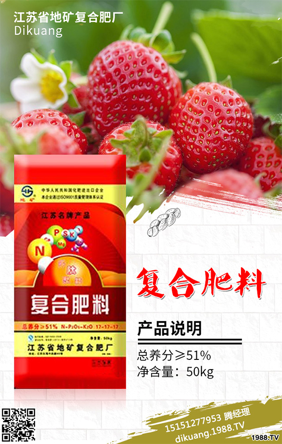 盆栽豌豆該怎么種？盆栽豌豆種植方法及注意事項