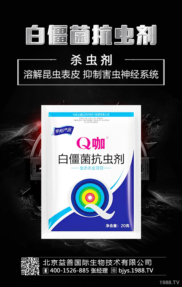 月季病蟲(chóng)害怎么防治？月季病蟲(chóng)害防治集錦