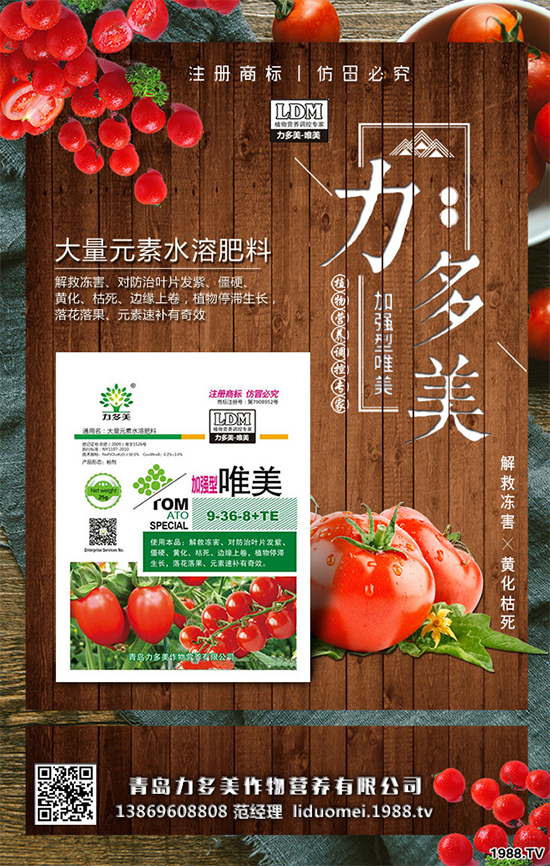 豌豆該怎么種？豌豆的播種方法及種植管理技術(shù)