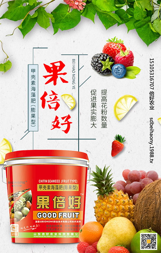 圣女果什么時(shí)間種植？圣女果種植技術(shù)要點(diǎn)有哪些？