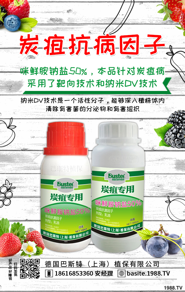 小麥病蟲害危害大！小麥苗期的病害和蟲害介紹