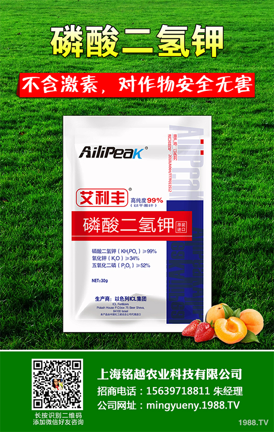 豌豆根腐病有哪些危害表現(xiàn)？該怎樣防治？豌豆根腐病防治方法