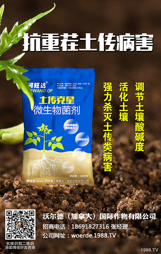 茄子什么時(shí)候育苗，茄子育苗的方法有哪些？