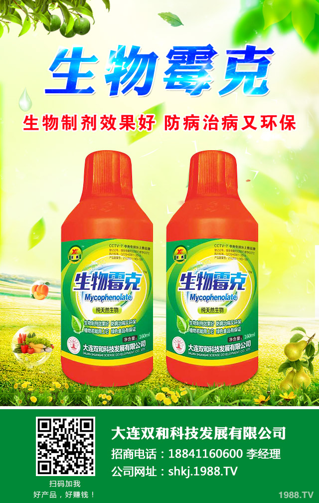 大棚黃瓜病害怎么辦？大棚黃瓜病害防治技巧