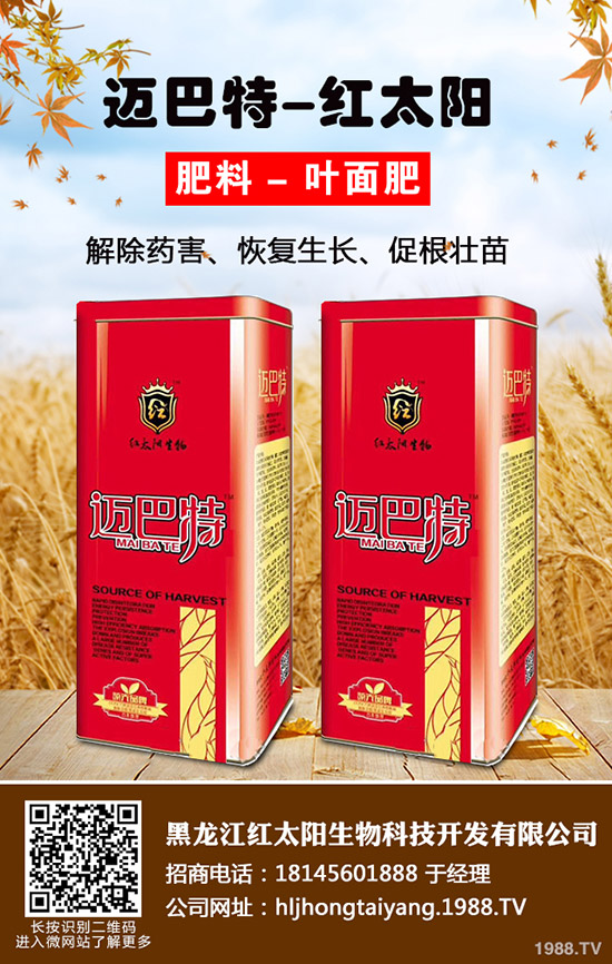 常吃紫蘇有什么好處，紫蘇的作用與功效！