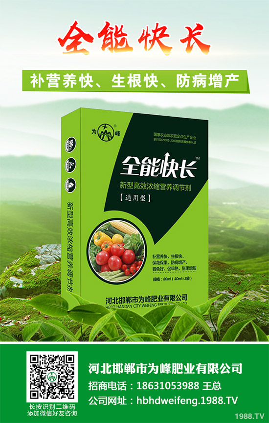 吃茼蒿有哪些好處？茼蒿的功效作用及食用禁忌