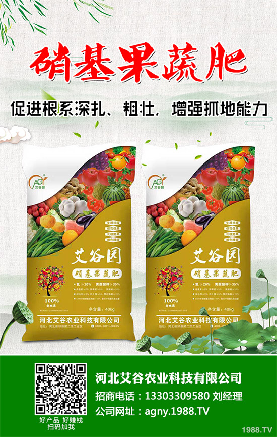 茼蒿該怎么吃？茼蒿的營養(yǎng)吃法及注意事項(xiàng)