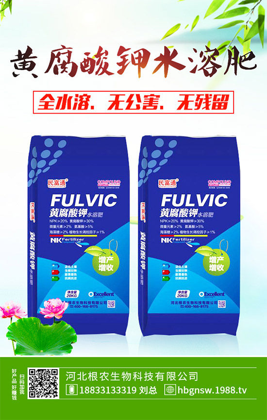 茼蒿該怎么吃？茼蒿的營養(yǎng)吃法及注意事項(xiàng)