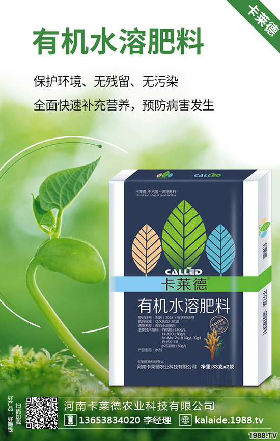 綠蘿長得太長怎么辦，綠蘿的修剪方法有哪些？