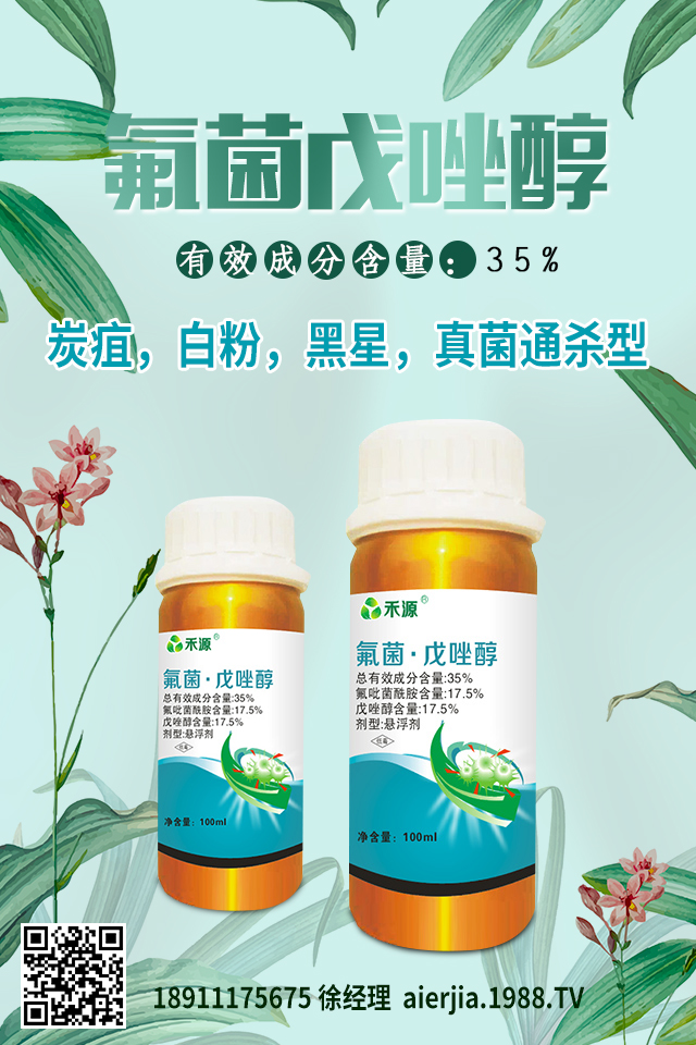 芹菜黑心腐爛怎么防治？芹菜黑心腐爛要對癥防治