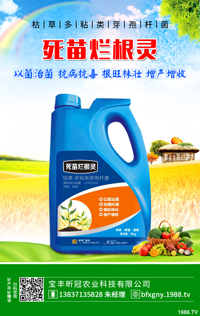 芹菜黑心腐爛怎么防治？芹菜黑心腐爛要對癥防治