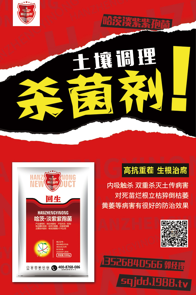 大蔥爛根如何治?大蔥爛根防治技巧