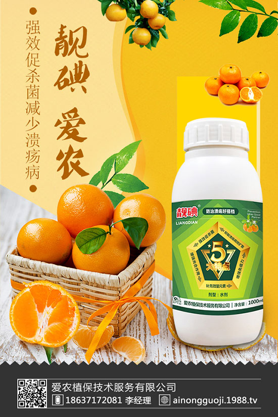 西蘭花如何種植？西蘭花種植時(shí)間及方法！