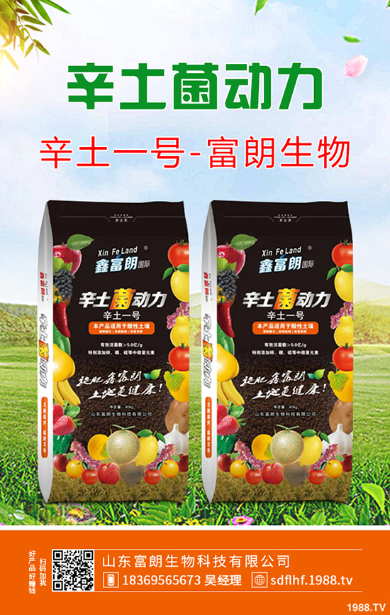     桃樹(shù)秋季帶葉修剪好處及什么時(shí)間修剪合適？桃樹(shù)秋季修剪技術(shù)！