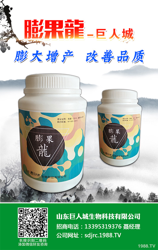 萵苣該如何施肥？萵苣的高產(chǎn)施肥技術(shù)有哪些？這些方法很重要！