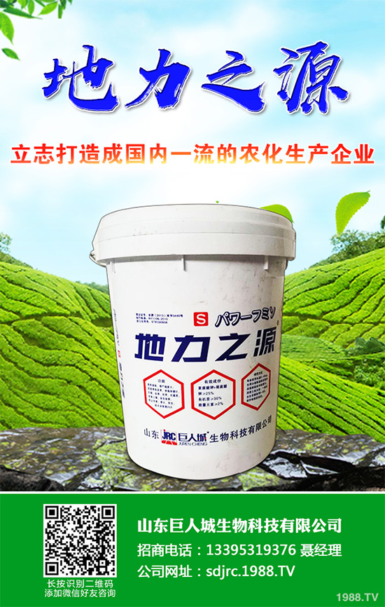 萵苣該如何施肥？萵苣的高產(chǎn)施肥技術(shù)有哪些？這些方法很重要！