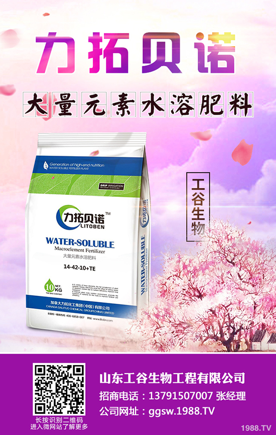 秋冬季小油菜如何種植？秋冬季小油菜種植技術(shù)及田間管理方法！