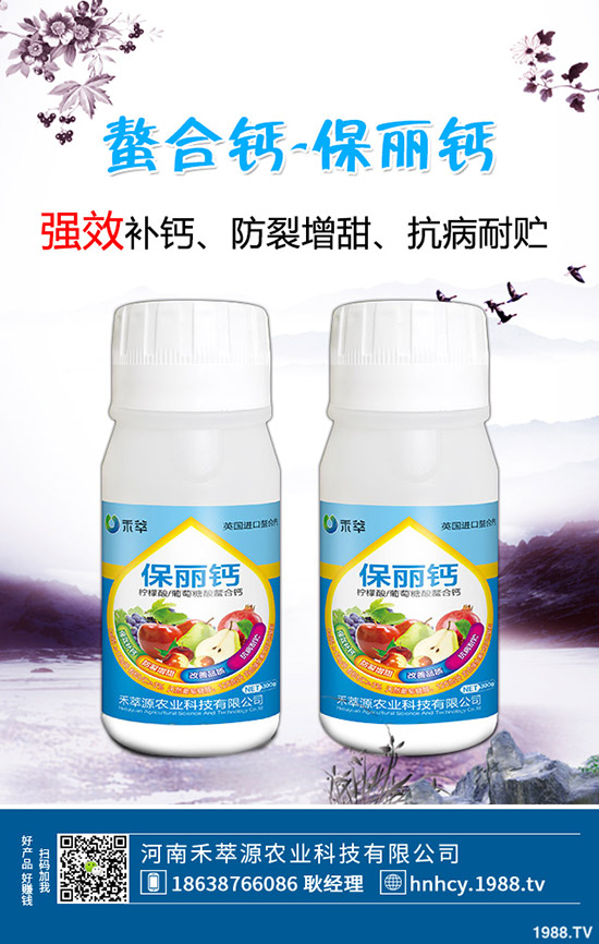 木耳菜怎么種，木耳菜種植時間和種植方法！