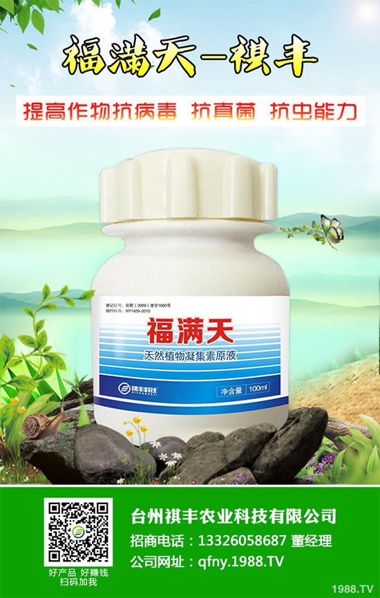 吃萵苣有哪些好處？常見萵苣的做法