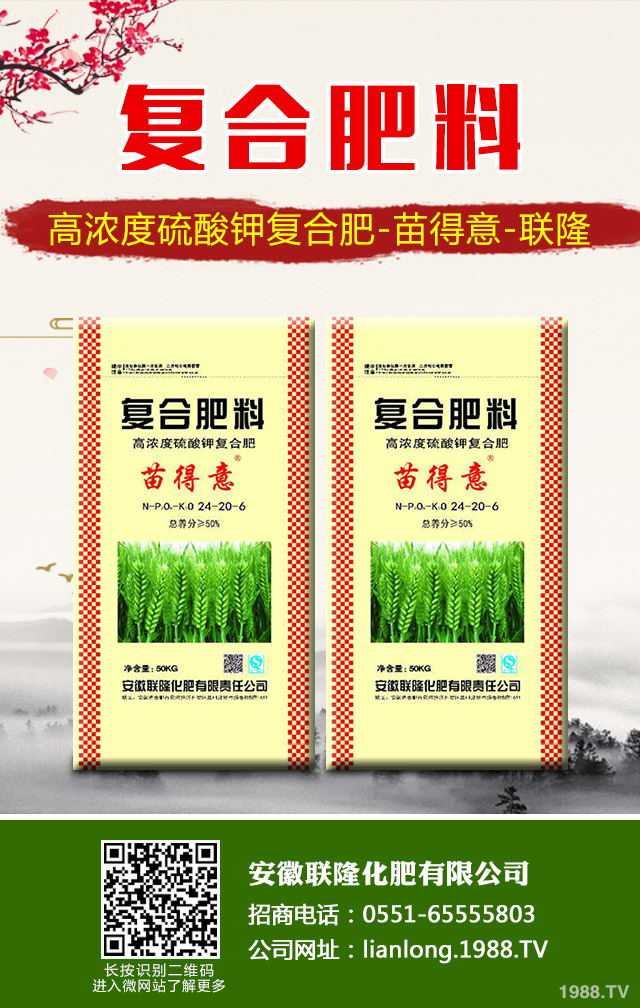 蘇鐵葉黃枯問題怎么解決？蘇鐵葉黃枯解決方法