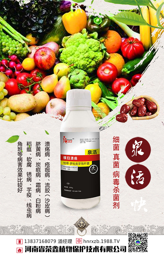 白菜軟腐病發(fā)病癥狀，白菜軟腐病防治措施