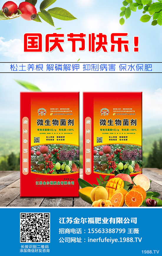     秋季香菜如何種植？香菜種植時(shí)間及種植技術(shù)、管理注意事項(xiàng)！