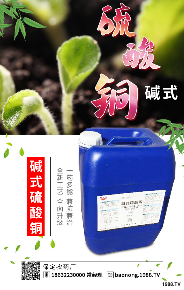 如何巧治蘇鐵葉斑病？蘇鐵葉斑病防治技巧