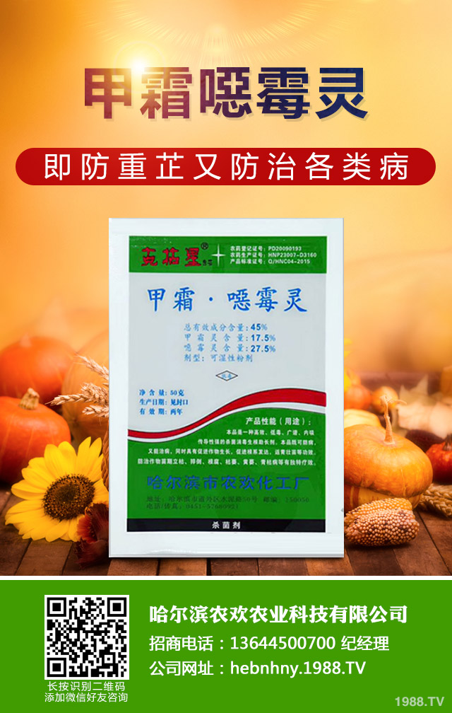 溫室黃瓜灰霉病如何防控？溫室黃瓜灰霉病防控技巧
