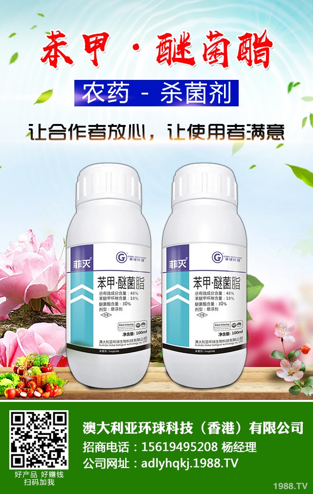 溫室黃瓜灰霉病如何防控？溫室黃瓜灰霉病防控技巧