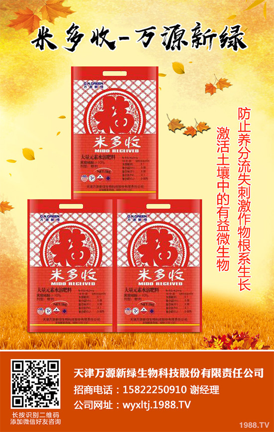 萵苣霜霉病危害這么大，你知道該如何防治嗎？萵苣霜霉病防治方法