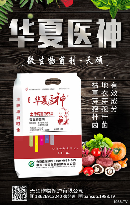     萵苣灰霉病有哪些危害癥狀？是如何引起的？快來看看吧！