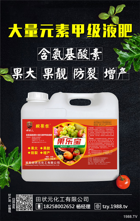     萵苣灰霉病有哪些危害癥狀？是如何引起的？快來看看吧！