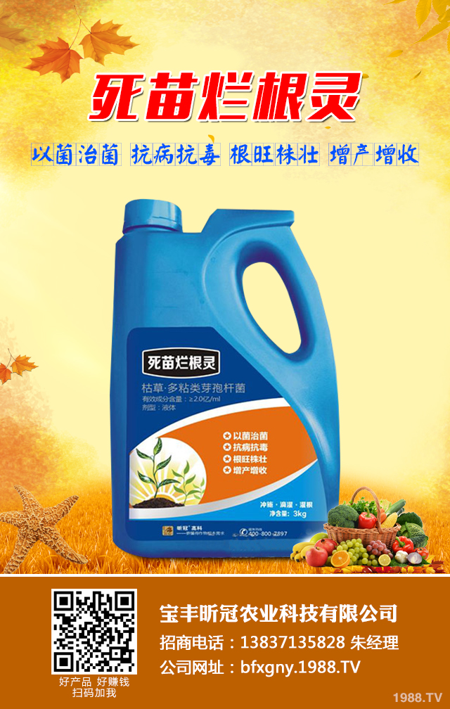 如何去除甘薯常見病蟲害？甘薯常見病蟲害防治技巧