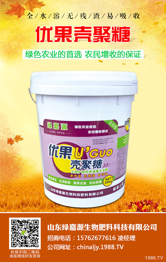 影響水稻分蘗的因素有哪些？如何提高水稻分蘗？