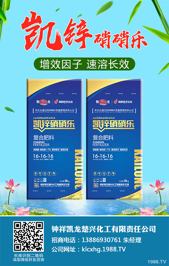     萵苣黑斑病是如何發(fā)生的？有哪些危害？萵苣黑斑病防治措施