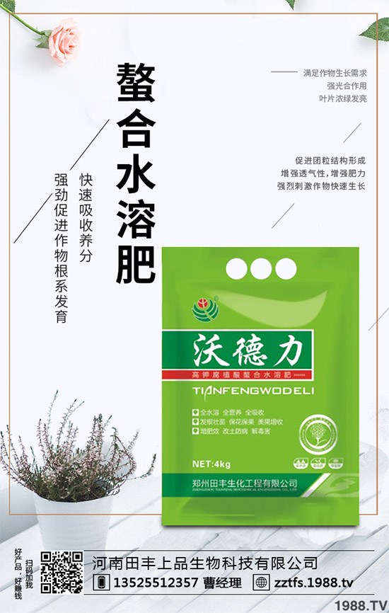 卷心菜有哪些營養(yǎng)價(jià)值？吃卷心菜有哪些好處？教你吃出健康！