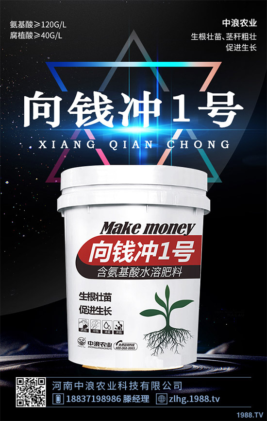 露地卷心菜什么時候種植？露地卷心菜種植技術(shù)大全