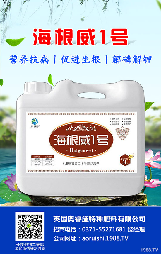 吃芋頭有哪些好處，芋頭的營養(yǎng)價值及食用禁忌！