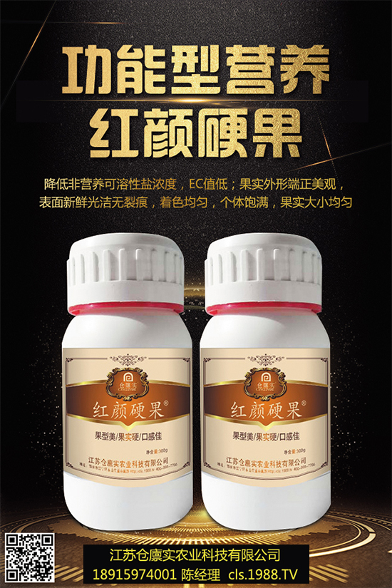 西蘭花什么時候種植？該怎么種？2019年西蘭花種植前景分析