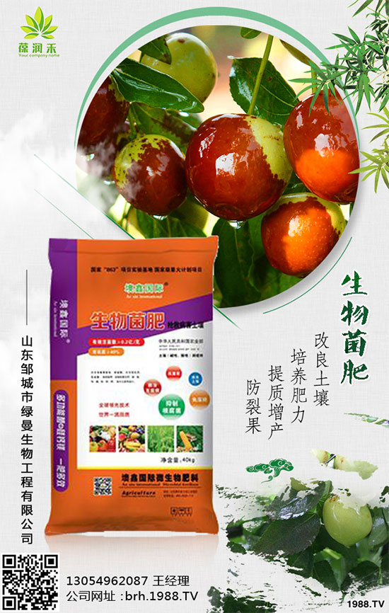 盆栽桑葚怎么種？桑葚盆栽的種植方法！