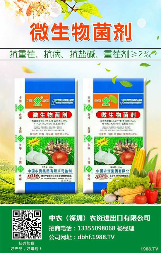 棉花怎么種植產(chǎn)量高？六大技巧讓你的棉花田輕松高產(chǎn)