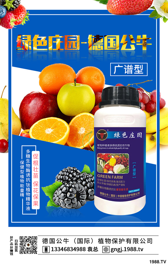 如何種植紫薯更高產(chǎn)，紫薯的種植方法與前景！