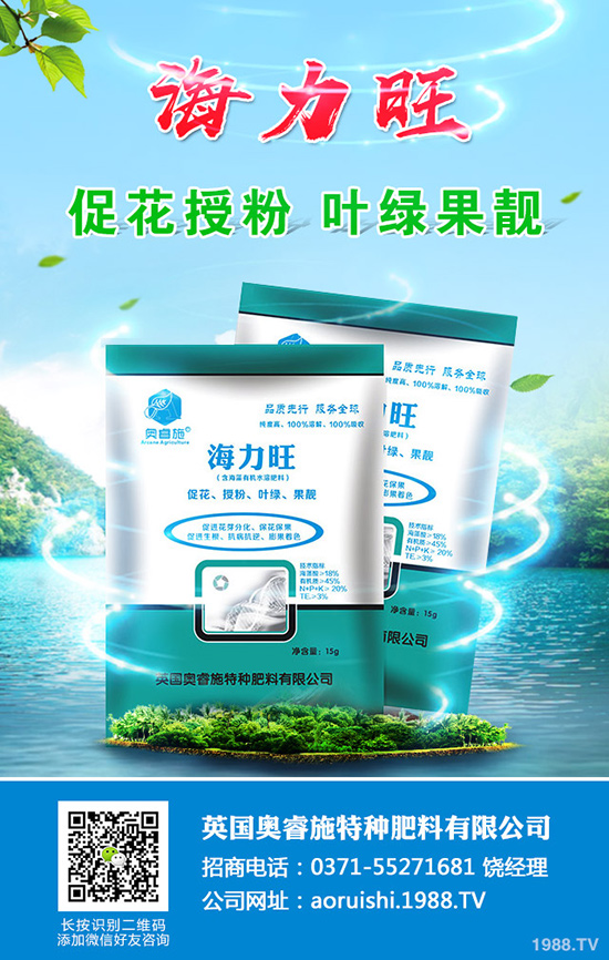 現(xiàn)在種植沙糖桔還賺錢(qián)嗎？沙糖桔種植技術(shù)大全