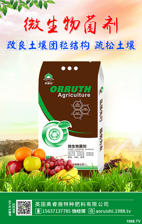 雪菜種植講究技巧，你會(huì)嗎？雪菜優(yōu)質(zhì)豐產(chǎn)種植技術(shù)