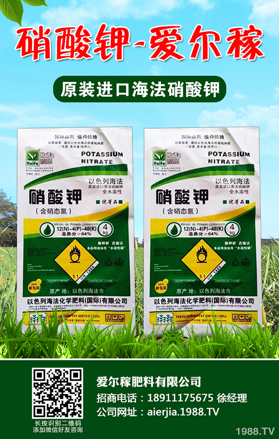 小蔥怎么種植產(chǎn)量高？小蔥的種植小技巧！