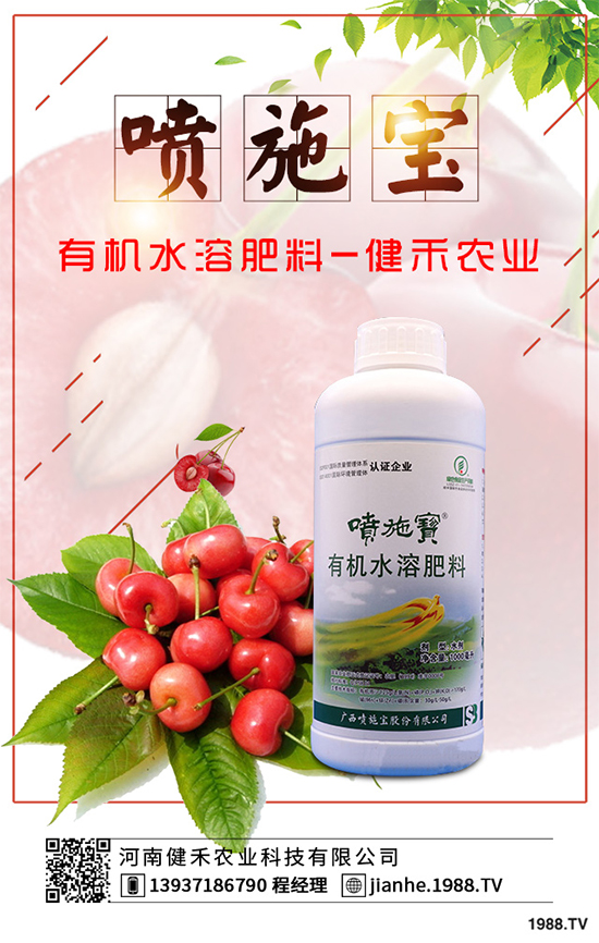 庭院種植竹子好在哪里？種植竹子的技巧與禁忌