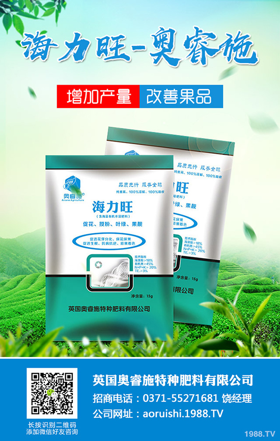 臍橙種植對環(huán)境有哪些要求？臍橙種植要點有哪些？